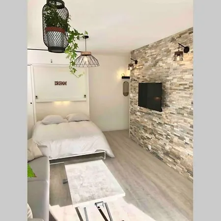 Grand 30 M² Centre Ville, Refait A Neuf Pour Vous ! Climatise
