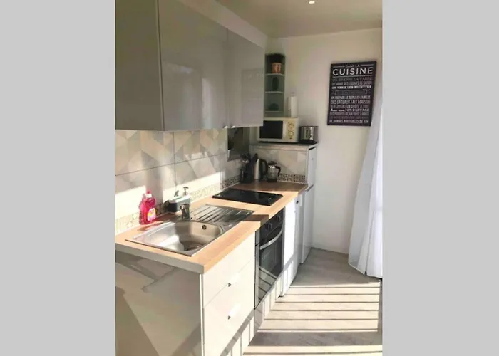 Cosy 30 M2 Climatise Au Centre De Lgm