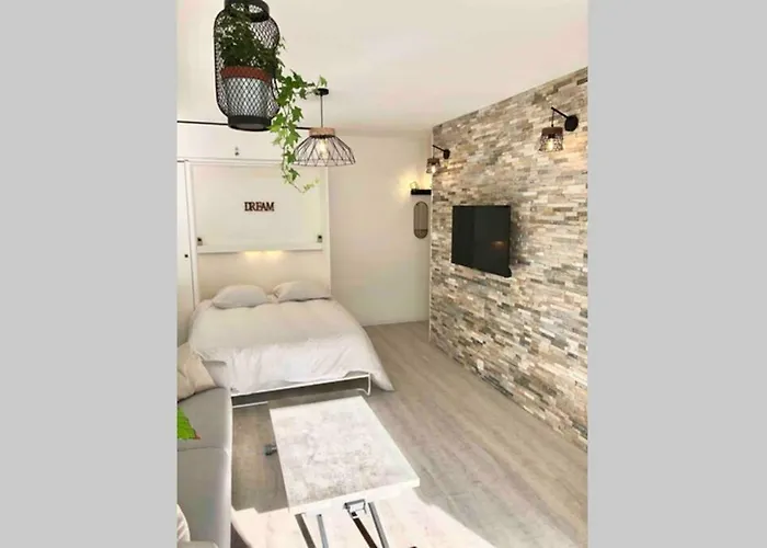 Cosy 30 M2 Climatise Au Centre De Lgm
