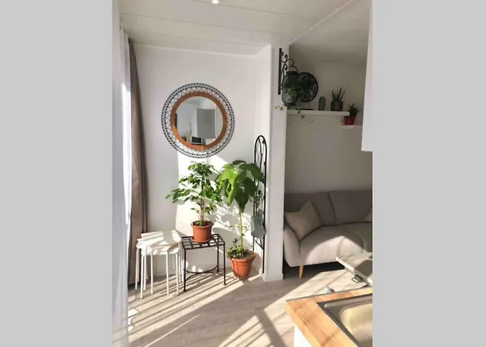 Apartamento Cosy 30 M2 Climatise Au Centre De Lgm